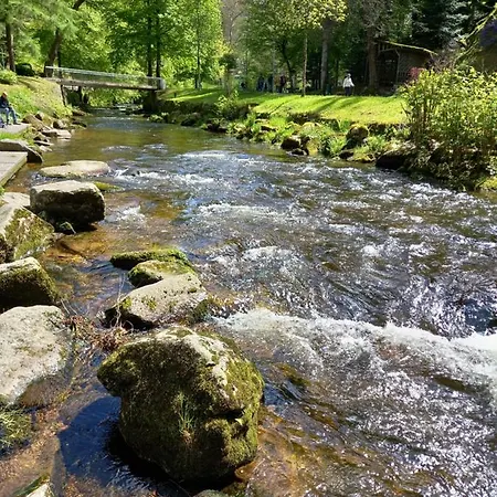 Herrlich Apartamento Bad Wildbad