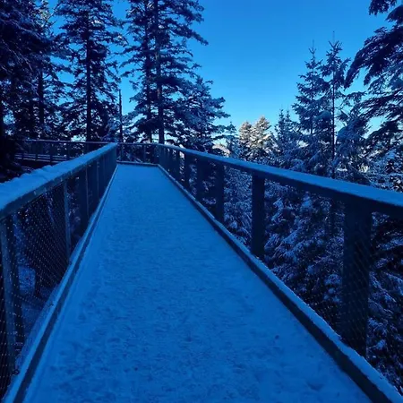 Apartment Herrlich Bad Wildbad