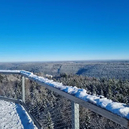 Apartment Herrlich Bad Wildbad
