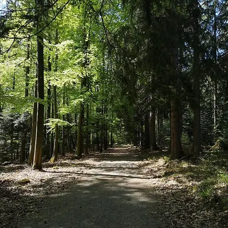 Herrlich Bad Wildbad