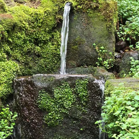 Herrlich شقة باد ويلباد