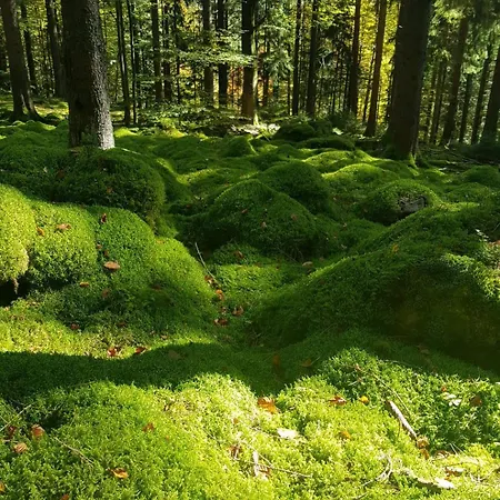 Herrlich Bad Wildbad