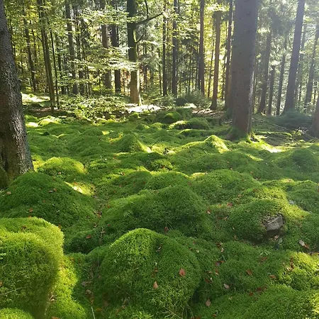 Herrlich