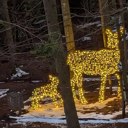 Herrlich باد ويلباد